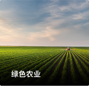乡村振兴营销图片