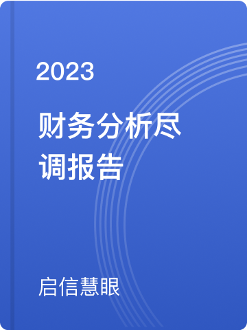 财务分析尽调报告