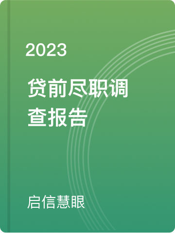 贷前尽职调查报告