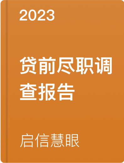 贷前尽职调查报告